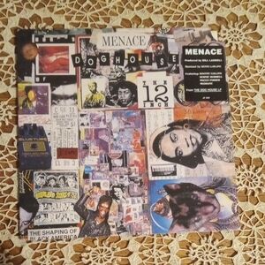 Doghouse Vinyl Record - Multicolor